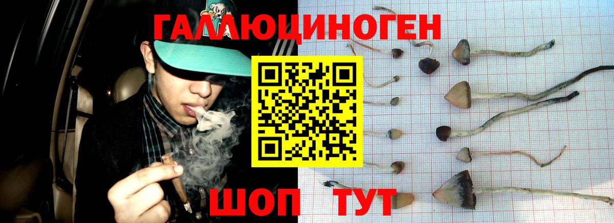 Галлюциногенные грибы мухоморы  Псилоцибиновые грибы прущие грибы  Вход с VPN  Невинномысск 